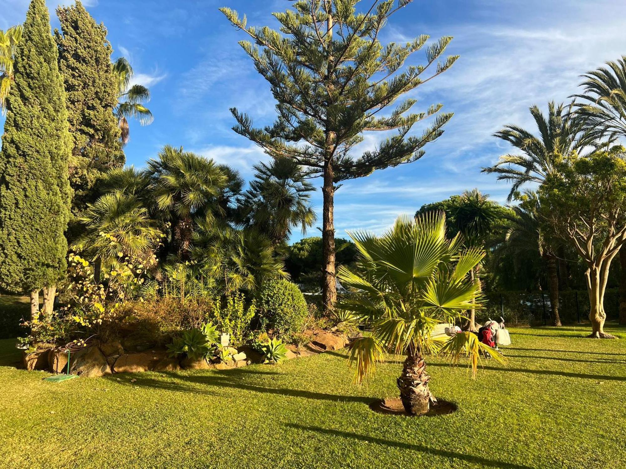 Moderno Estudio Y Piscina A 50 Metros De La Playa * Marbella