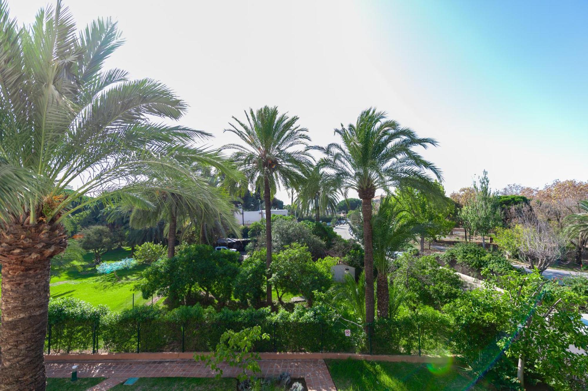 Moderno Estudio Y Piscina A 50 Metros De La Playa Appartement
